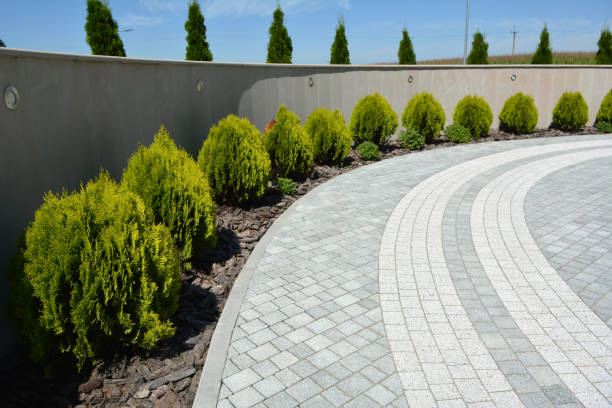 Best Custom Driveway Pavers  in Crosby, ND