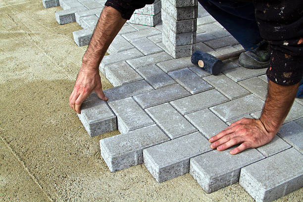 Best Local Driveway Pavers  in Crosby, ND